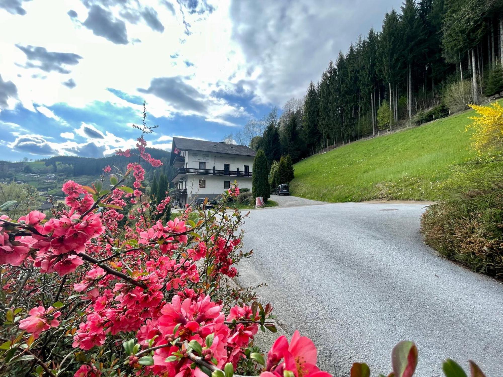 Alpenpension Gasthof Ratten Luaran gambar